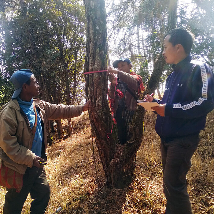 Klimakompensasjon Khasi Hills