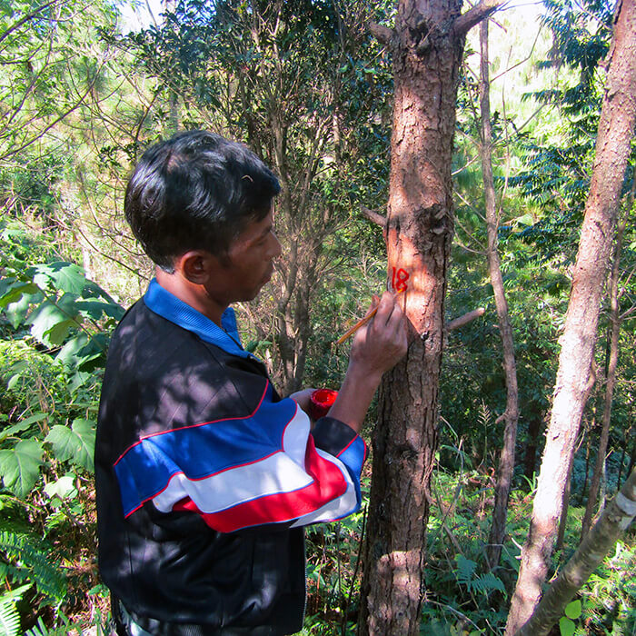 Nordkak Klimakompensering Khasi Hills